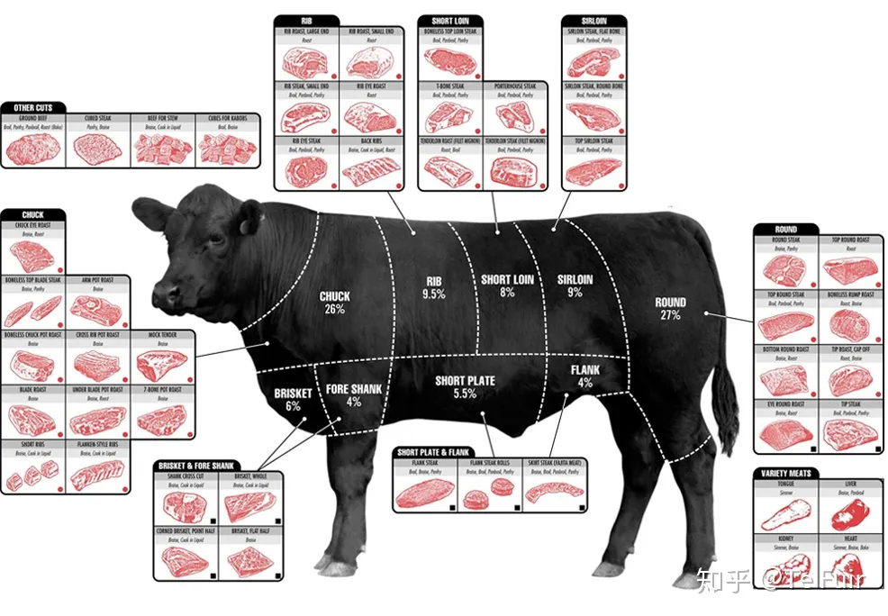 牛百科 —— 牛肉知识点集锦